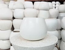 Chậu xứ