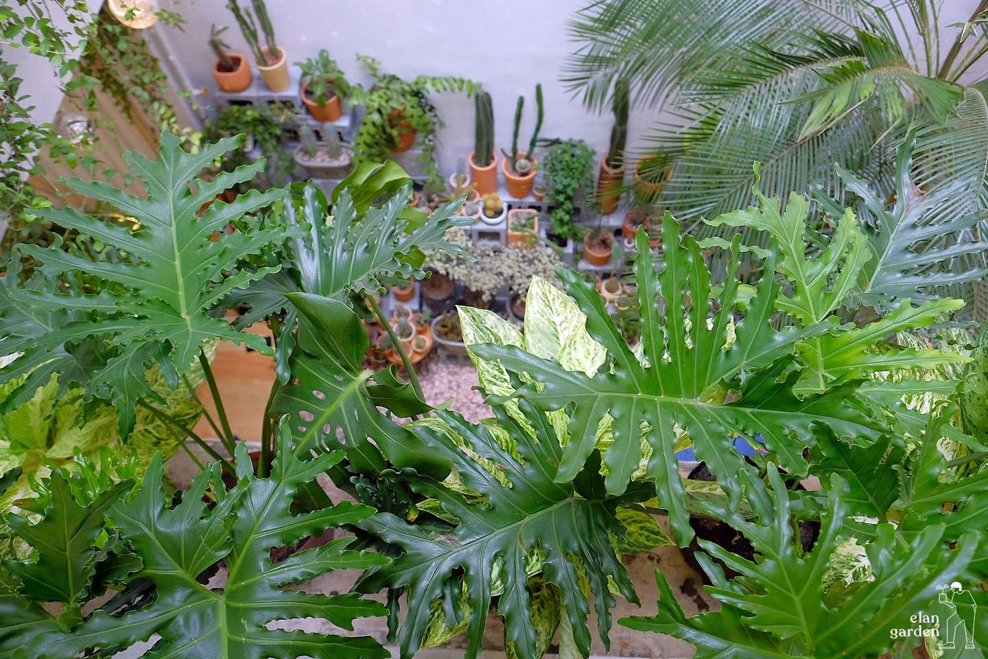 Liên hệ với MOW Garden