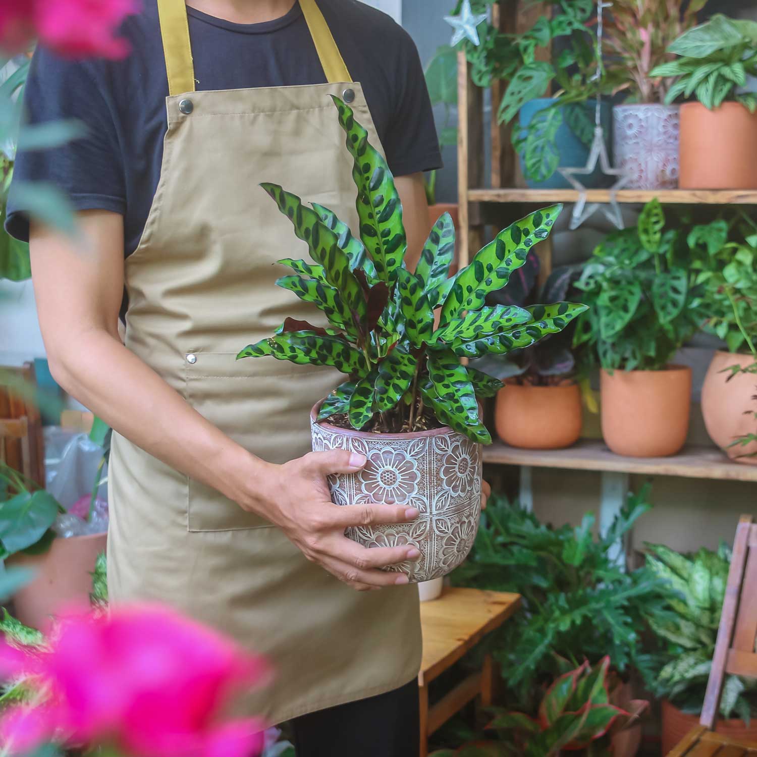 Chậu Nhựa Treo Monrovia Size L Màu Xanh